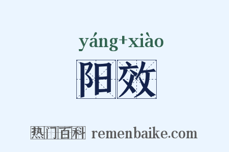 阳效是什么意思的图片
